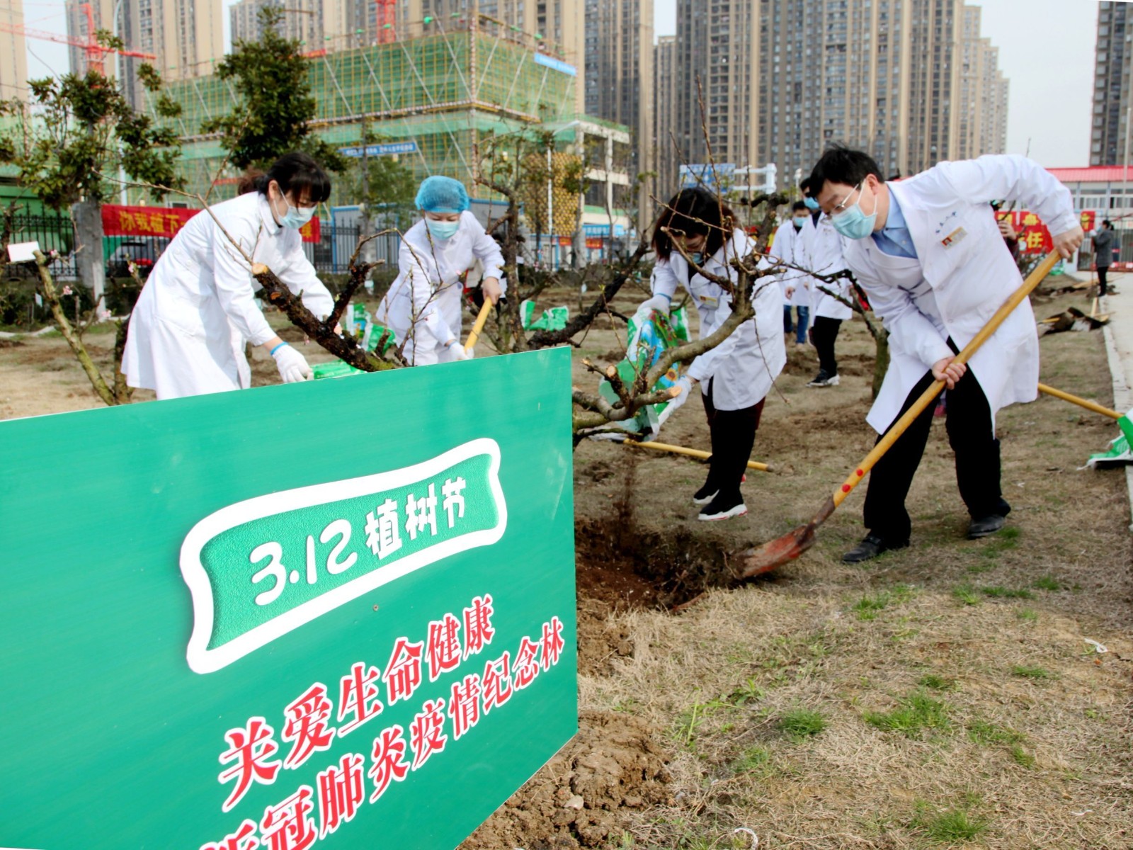 QQ图片20200312105230.jpg